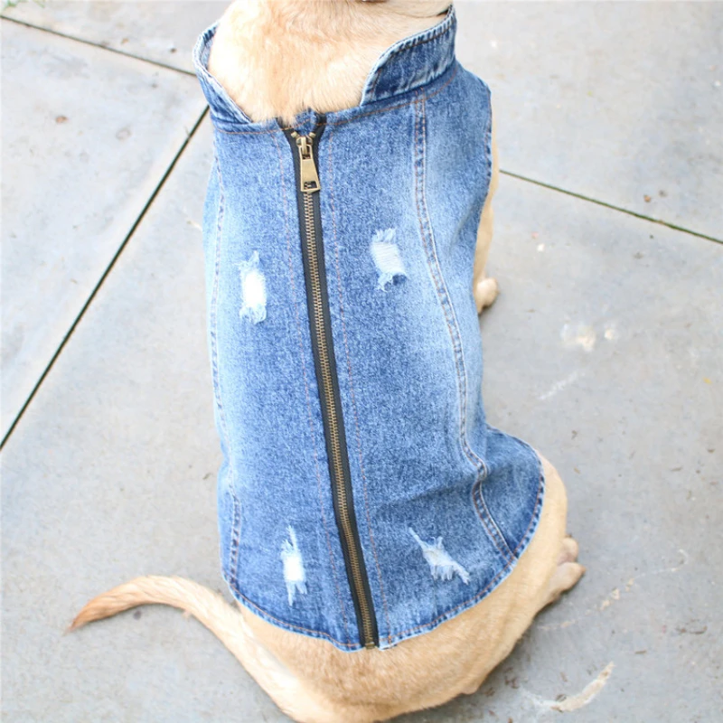 Summer Big Large Dog Clothing  - Summer Clothing In French review and price