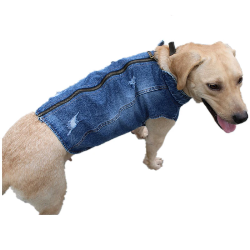 Summer Big Large Dog Clothing  - Summer Clothing In French review and price