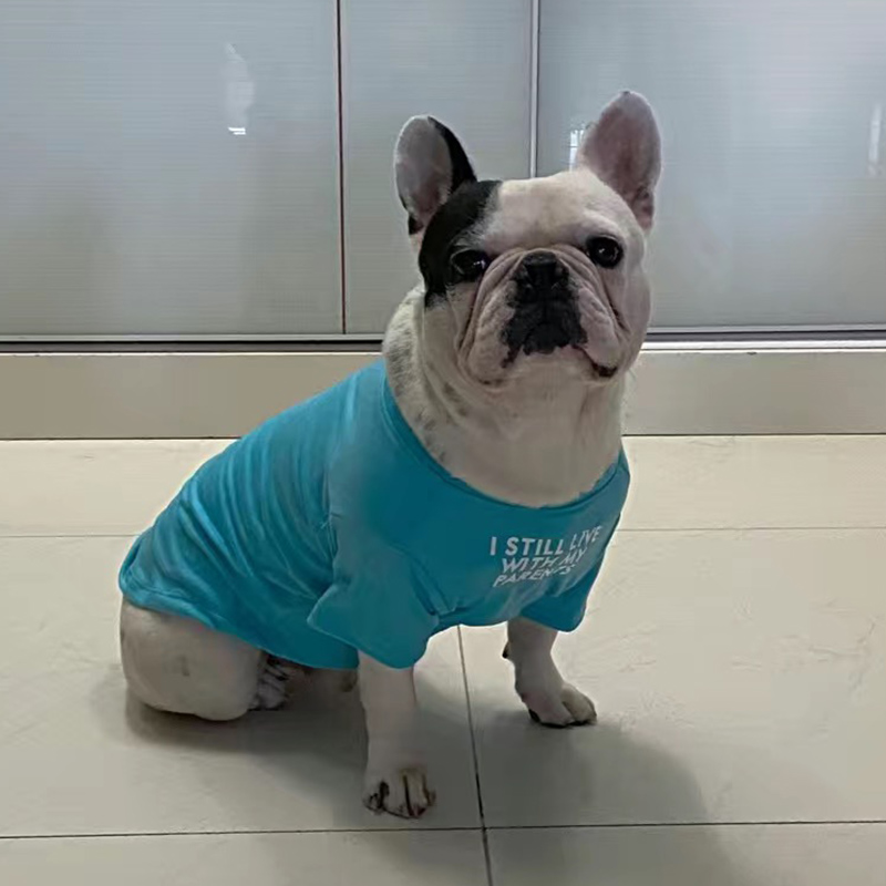 Fashion French Bulldog Pug Ves - Summer Clothing In French review and price